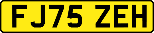 FJ75ZEH