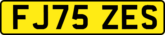 FJ75ZES