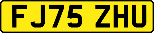 FJ75ZHU