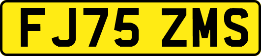 FJ75ZMS