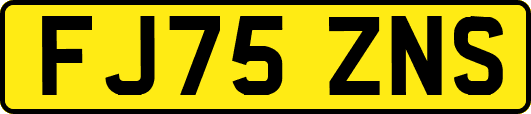 FJ75ZNS