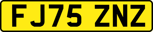 FJ75ZNZ