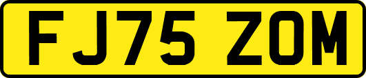 FJ75ZOM