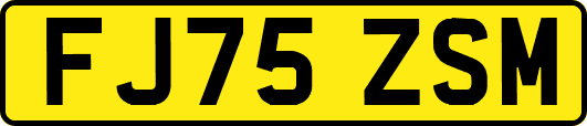 FJ75ZSM