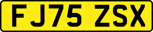 FJ75ZSX