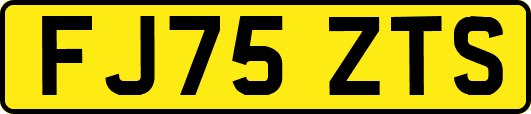 FJ75ZTS
