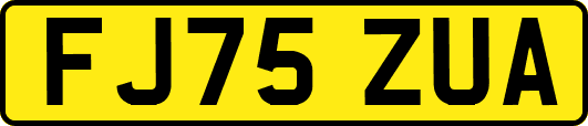 FJ75ZUA