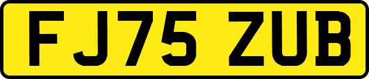 FJ75ZUB