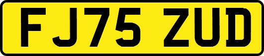 FJ75ZUD
