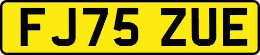 FJ75ZUE