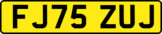 FJ75ZUJ