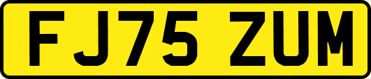 FJ75ZUM