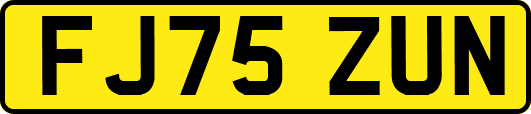 FJ75ZUN