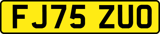 FJ75ZUO