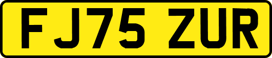 FJ75ZUR