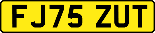 FJ75ZUT