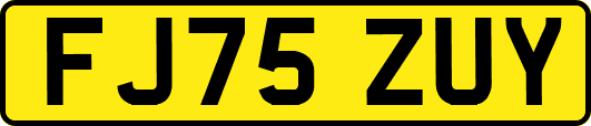 FJ75ZUY