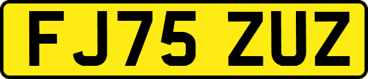 FJ75ZUZ