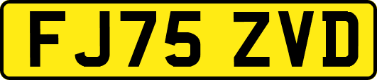 FJ75ZVD