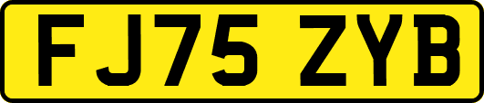 FJ75ZYB