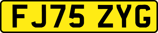 FJ75ZYG