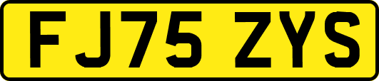 FJ75ZYS