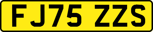 FJ75ZZS