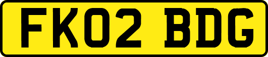 FK02BDG