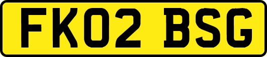 FK02BSG