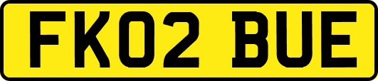 FK02BUE