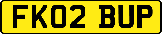 FK02BUP