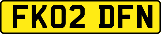 FK02DFN