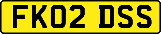 FK02DSS