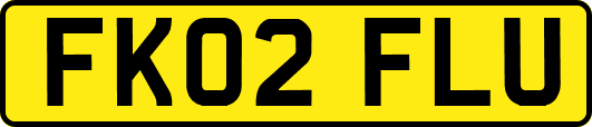 FK02FLU