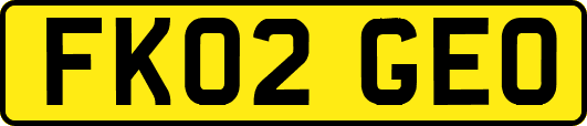 FK02GEO