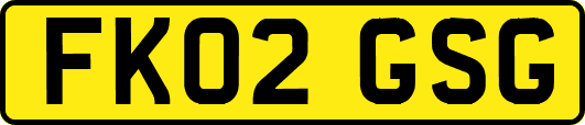 FK02GSG