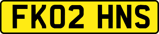 FK02HNS