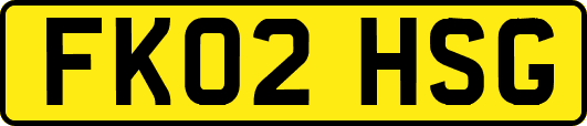 FK02HSG