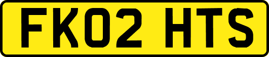 FK02HTS