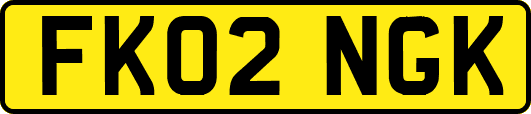 FK02NGK