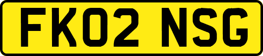 FK02NSG