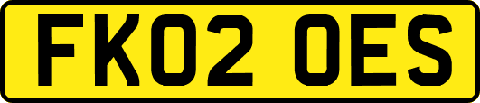 FK02OES