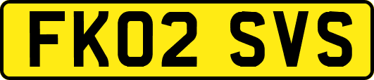 FK02SVS