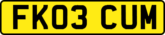 FK03CUM