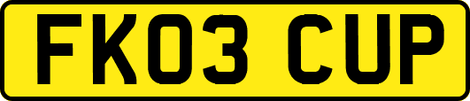 FK03CUP