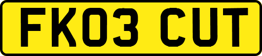 FK03CUT