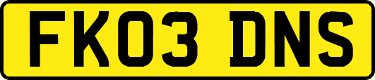 FK03DNS