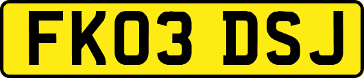 FK03DSJ