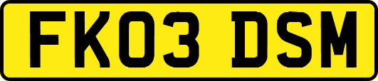 FK03DSM
