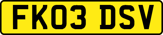 FK03DSV